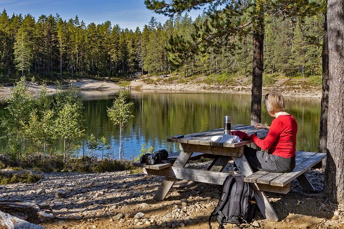 Fikarast Fika vid Gröntjärn.