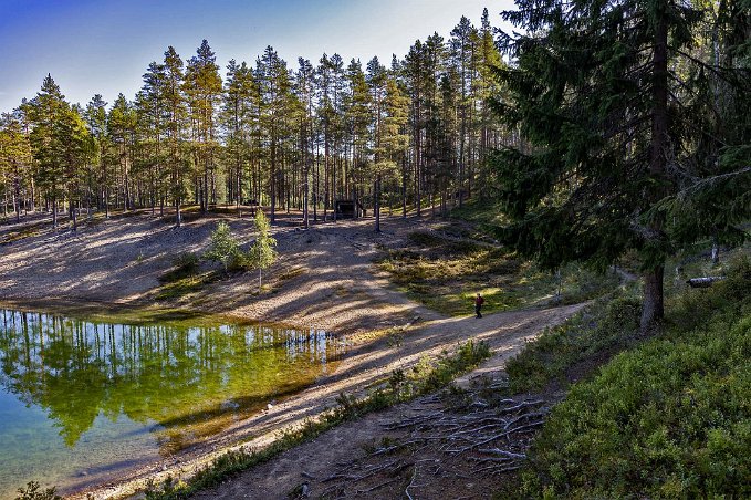 Gröntjärn - mycket tallskog Växtligheten kring Gröntjärn är anpassad till områdets torra markförhållanden. Tallskog med olika bärris och lavar täcker stora delar av reservatet.