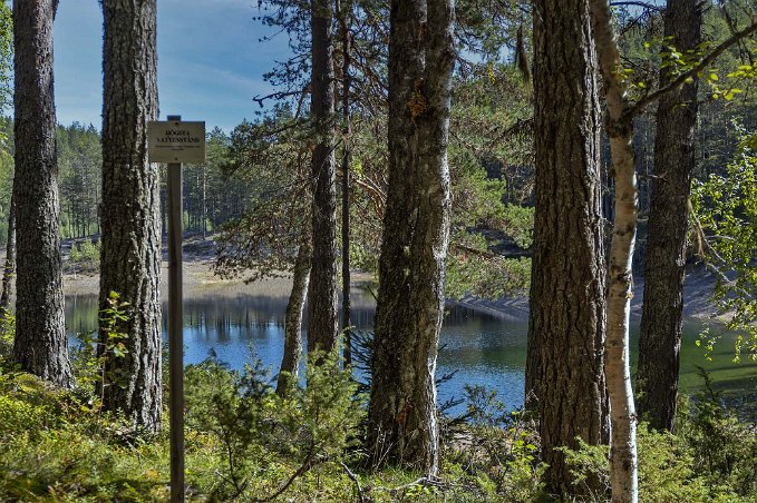 Gröntjärns högsta nivå Högnivån finns markerad med en skylt vid ingången till sjön.