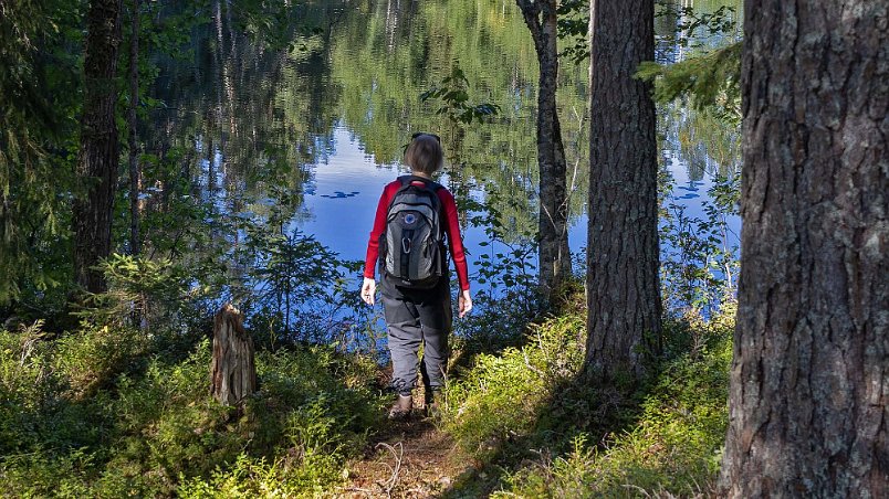 Ned till Långtjärn Blixtvisit vid Långtjärn som har en spännande hydrologi.