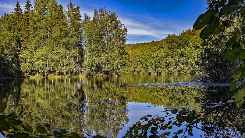 Växande sjö Stråsjö-Långtjärn i Gröntjärns naturreservat blir successivt större och större. Sjön tillförs humusrikt vatten via flera bäckar men saknar synligt utlopp....