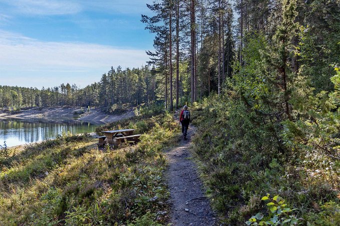 Gröntjärn Vandring längs Gröntjärn