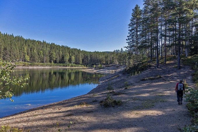 Gröntjärn Vandring längs Gröntjärn.