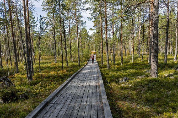 Bred landgång Lättgången promenadväg in i nationalparken från huvudentrén.