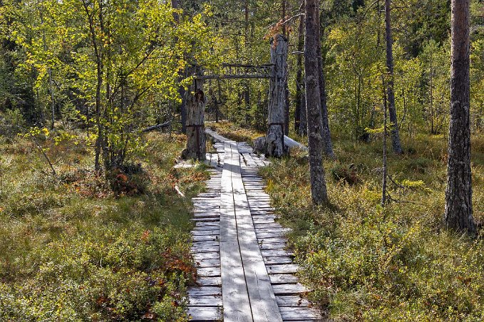 Entré till rundslinga Början (eller slutet) på en rundslinga. Nationalparken är 1383 hektar stor och består av såväl skog som myr och vattendrag.