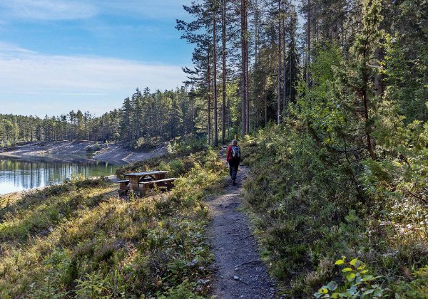210830 Gröntjärns naturreservat