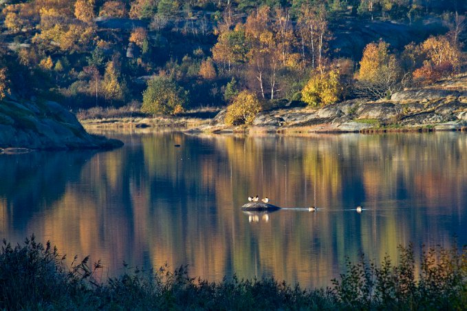 Sotefjärden, fågelskär