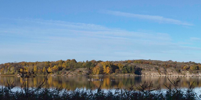 Sotefjärden
