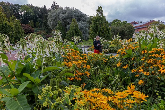 Kristina botaniserar Kristina vid en av de sex cirkelformade rabatterna i entréns centrala stenläggning.
