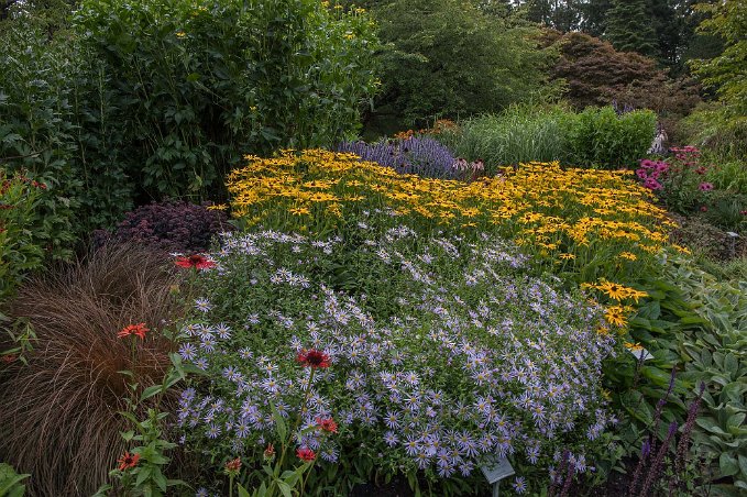 Gräs och blommor Prydnadsgräsavdelningen i entréslänten visar ett fyrtiotal olika prydnadsgräs från manshöga pjäser till låga mattor. Sensommar och tidig höst är planteringens...