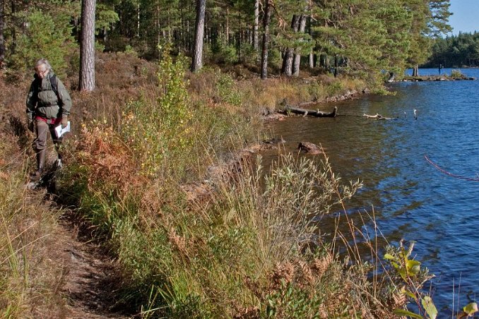 Längs Nävsjöns norra strand