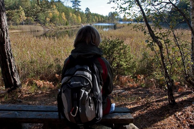 Nävsjön mot Stora Svartbacken