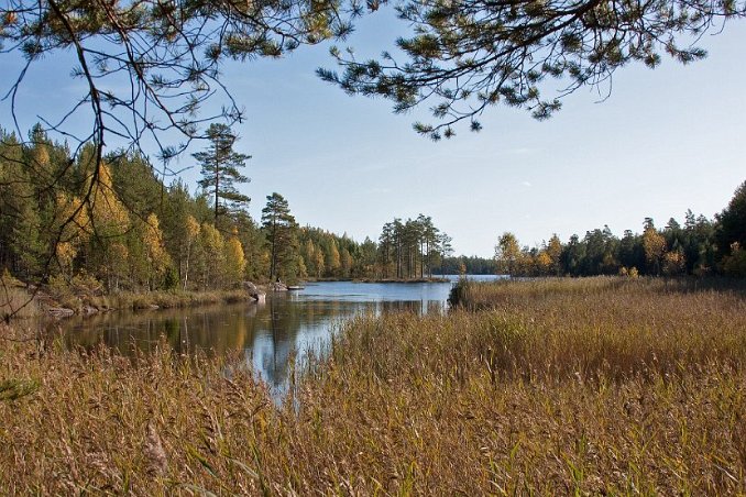 Nävsjön, Stora Svartbacken