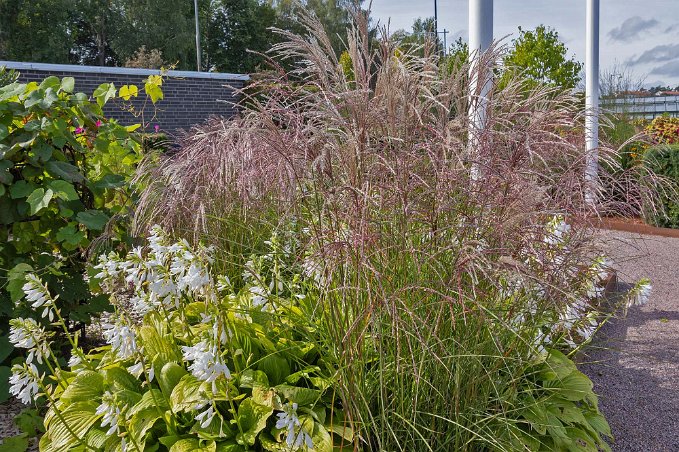 Sjöparkens växthus i Kumla Trådgårdarna i Sjöparkens växthus utgår från de fyra elementen eld, luft, vatten och jord och återtspeglar Kumlas natur.