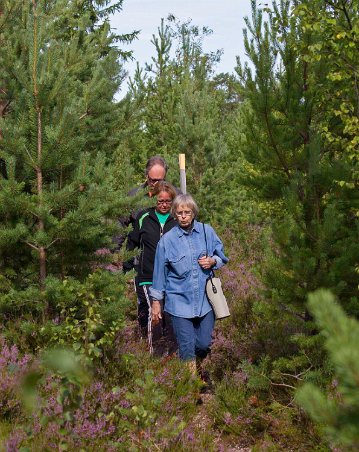 Mot Gnarpskatens naturreservat