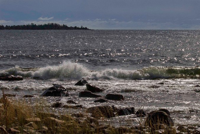 Vågspel vid Gnarpskatens naturreservat