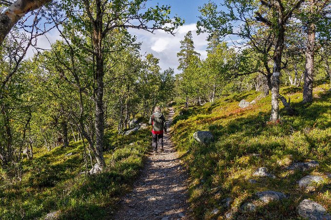 Kulturstigen 4 km Början på kulturstigen ovan Grövelsjön.