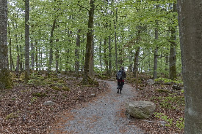 Åsnens nationalpark Mot (blåsig) rastplats vid sjön Åsnen.