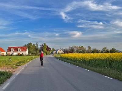 Österlen Blommande rapsfält vid vägen från middagen i gårdshotellet.