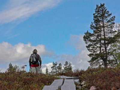 På krönet av Skärsjövålen