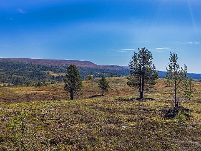 Silverfallet 7,2 km Hösfärgerna börjar komma. Vy från leden till Silverfallet mot de norska gränsfjällen.