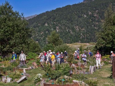 Besök i den alpima trädgården 1875 m öh