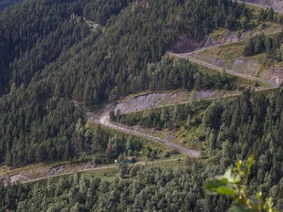 Fårvallning på serpentinvägar