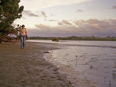 Strandflanör