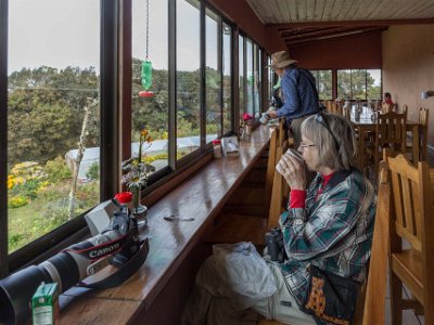 Kolobriskådning och fika Fika och kolibri-skådning i restaurangen La Georgina vid Cerro de la Muerte efter vägen mot dalgången San Gerardo de Dota.