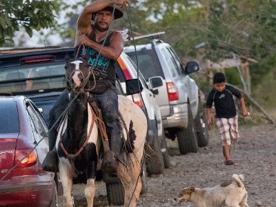 Cowboy vid våtmarken 