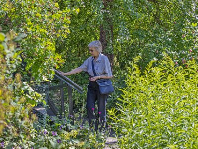 Fredrika Runebergs trädgård Kristina besöker Fredrika Runebergs artrika trädgård.