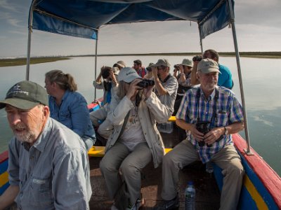 Fågelskådning i floddelta Spaing från flodbåten i deltat vid Olhao
