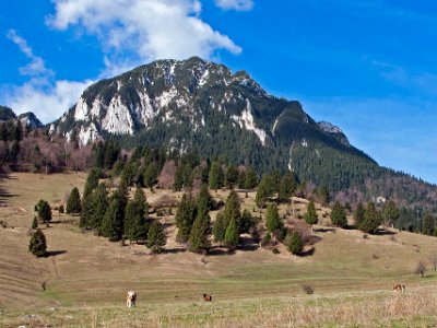 I nationalparken Piatra Craiouli (Kingstonbergen)