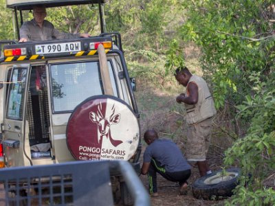 Punkterat hjul byts i Ruaha np Ali och Mathias byter punkterat hjul