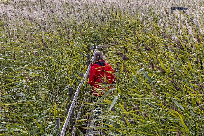 Vasshavet Genom vasshavet vid Tåken