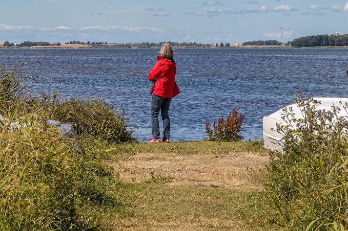 Tåkern Vid vandringsleden genom vasshavet.