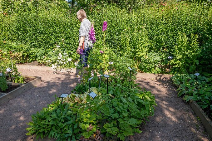 Vadstena örtagård Besök i örtagården bakom Vadstena klosterhotell.