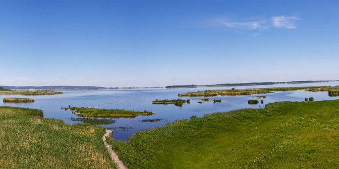 Panorama över Tåkern Utsikt över Tåkern från fågeltornet närmast Naturrum.