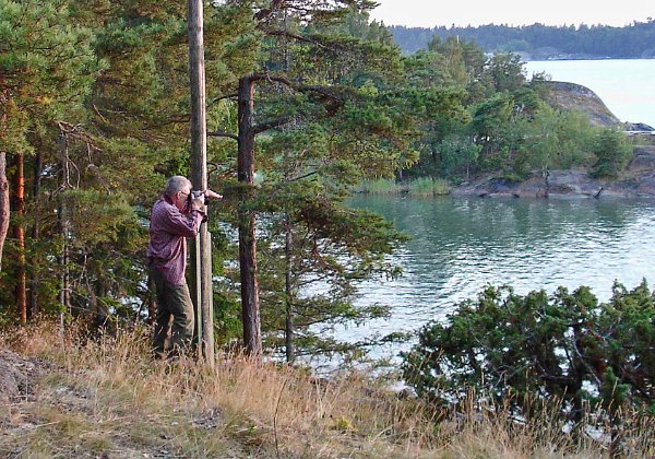 Nissesudd juli 2011