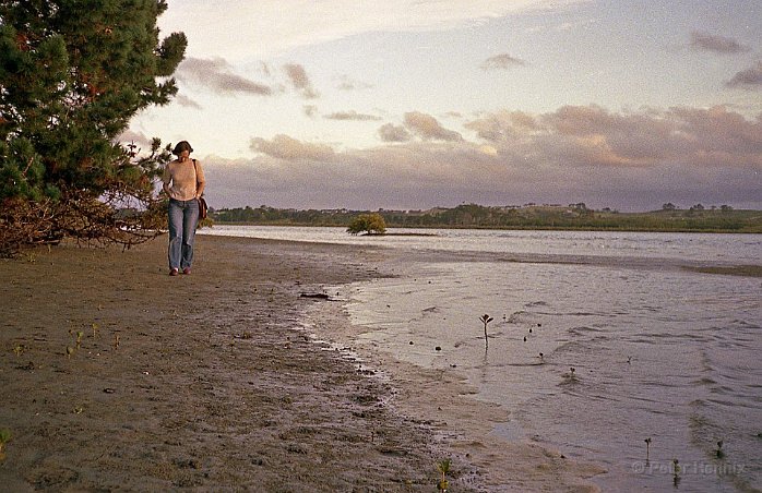 Strandflanör