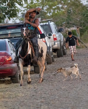 Cowboy vid våtmarken 