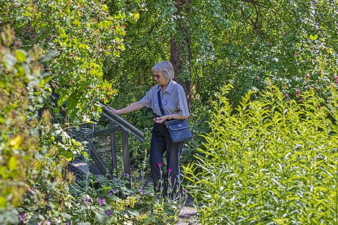 Fredrika Runebergs trädgård Kristina besöker Fredrika Runebergs artrika trädgård.