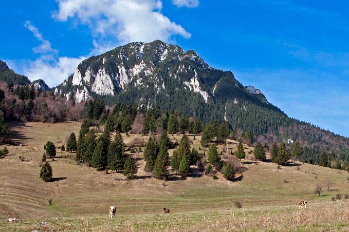 I nationalparken Piatra Craiouli (Kingstonbergen)