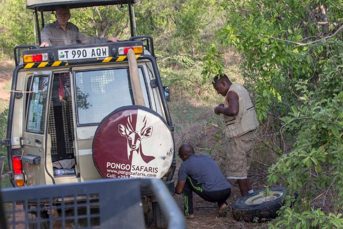 Punkterat hjul byts i Ruaha np Ali och Mathias byter punkterat hjul